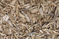 biomass boilers Drynoch